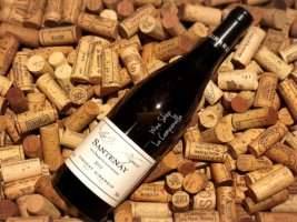 Santenay Blanc Les Vieilles Vignes 2015