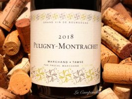 Puligny Montrachet 2018 MARCHAND TAWSE